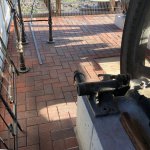 Das Verlegen der rotbraunbunten Pflasterklinker war am 18.09.2019 erledigt.