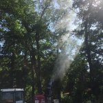 Bek&auml;mpfung Eichenprozessionsspinner (EPS) Raum Gartow 2018